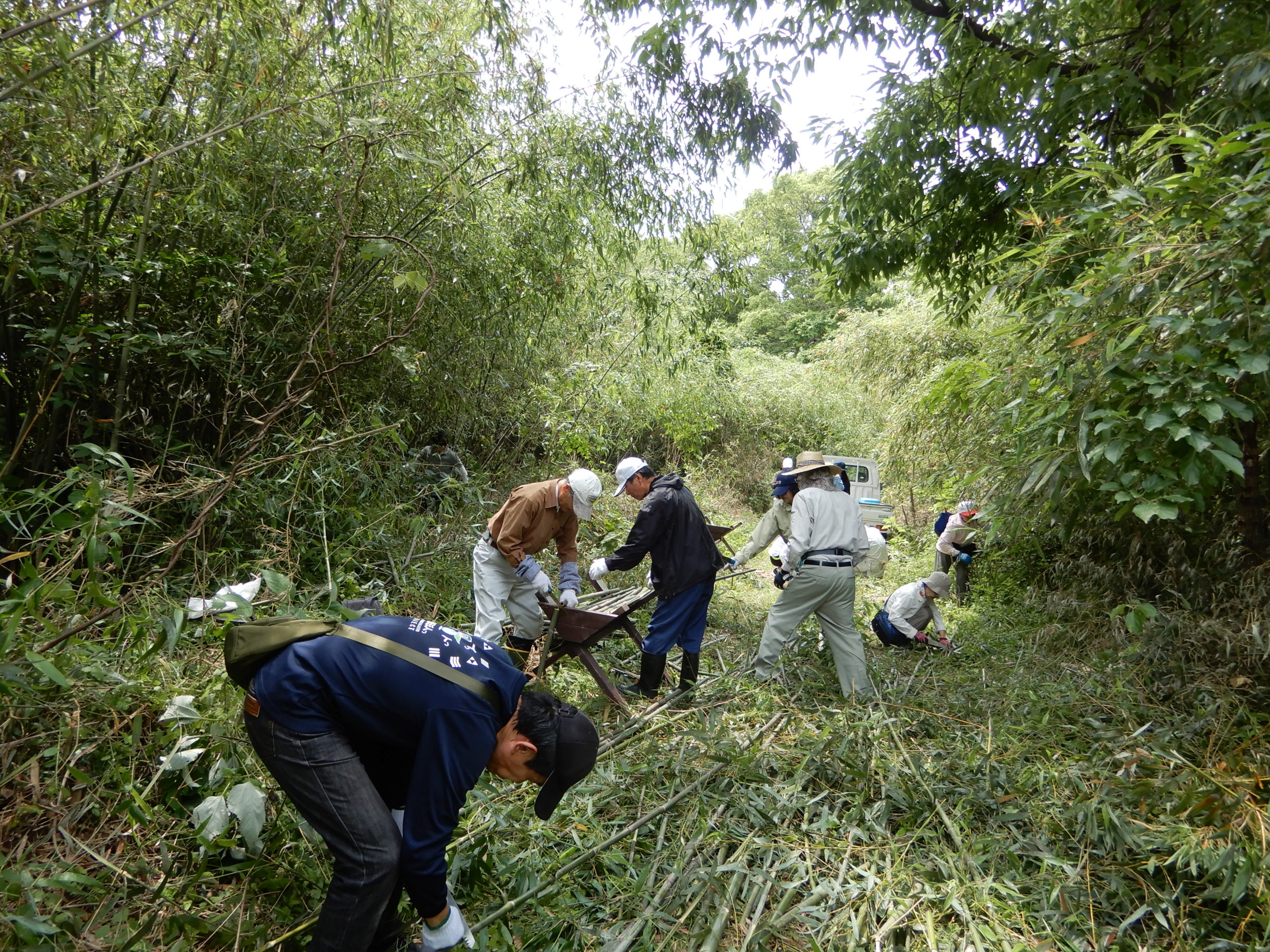 NPO法人嘉瀬川交流軸