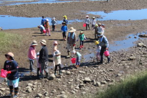 NPO法人水辺に遊ぶ会