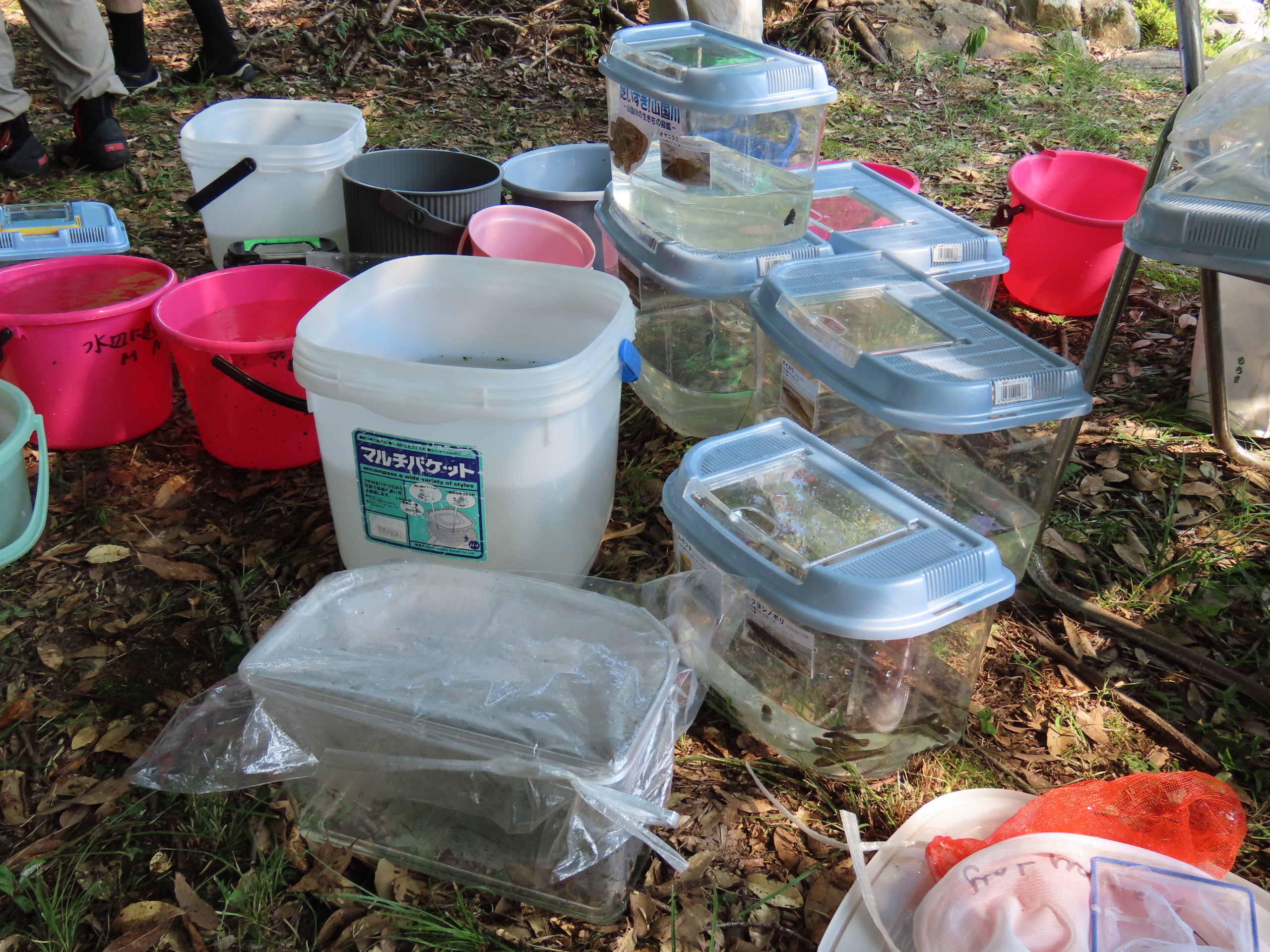 NPO法人水辺に遊ぶ会