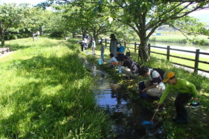 NPO法人直方川づくりの会 めだかの学校（遠賀川生き物調査隊）