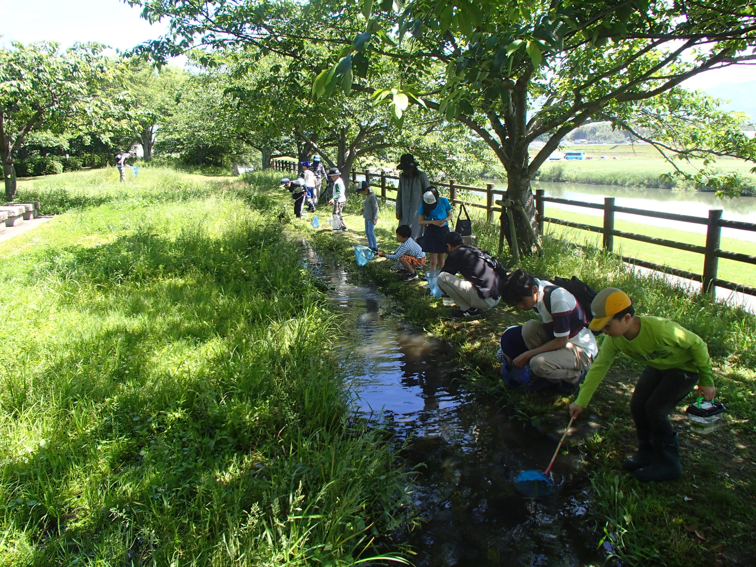 NPO法人直方川づくりの会 めだかの学校（遠賀川生き物調査隊）