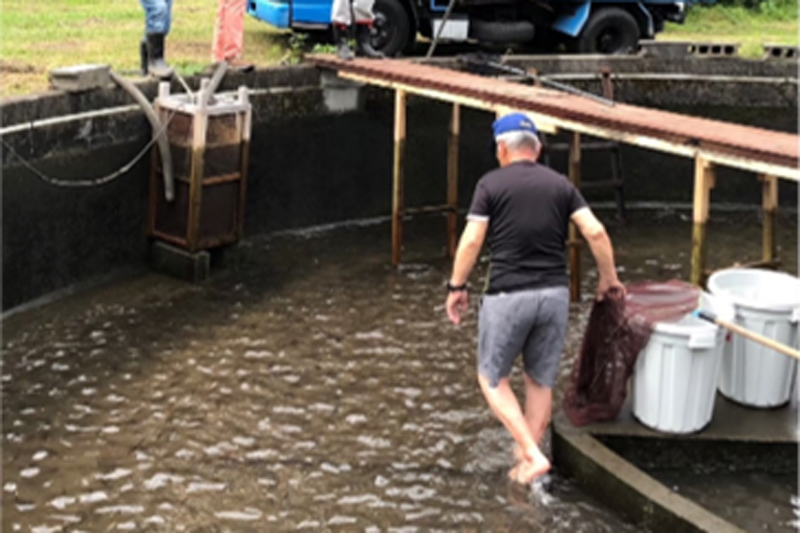 姶良川河川愛護会