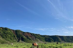 みなみあそ観光局