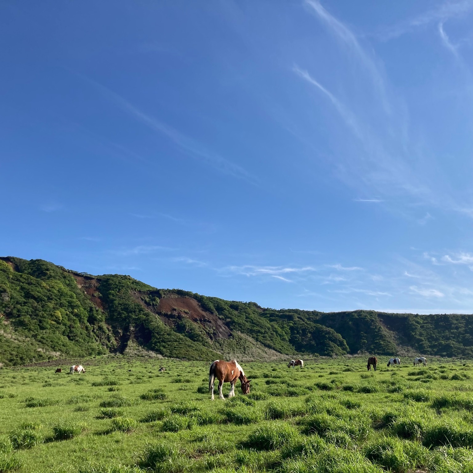 みなみあそ観光局