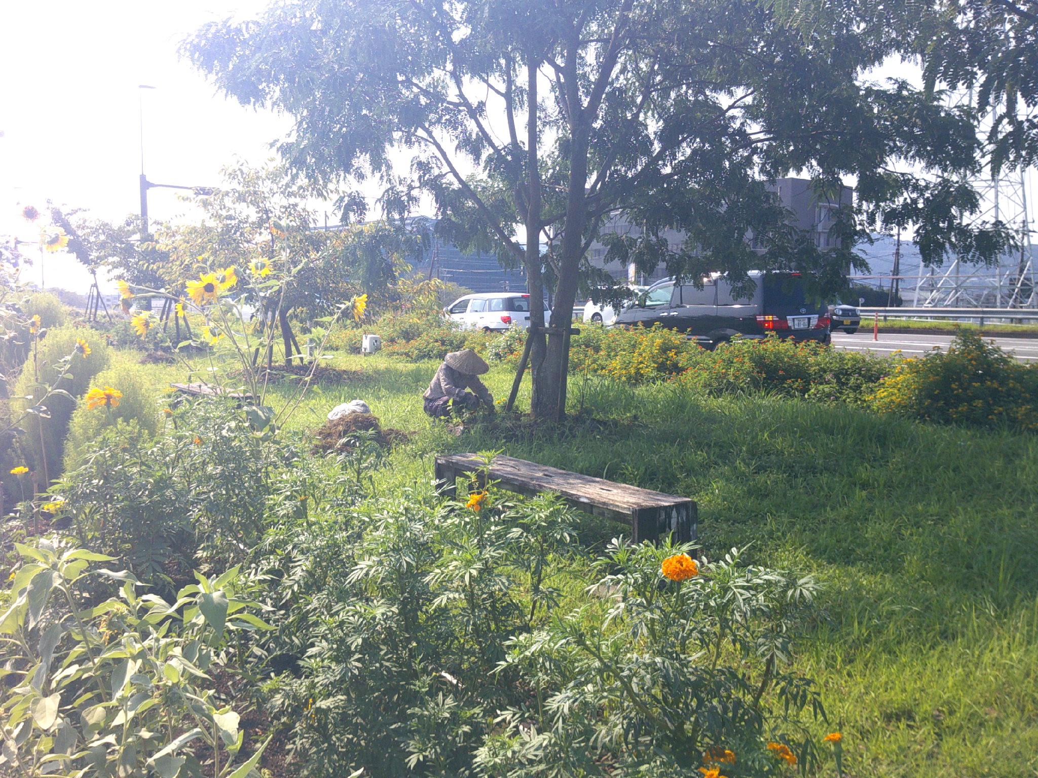 NPO法人コノハナロード延岡市民応援隊