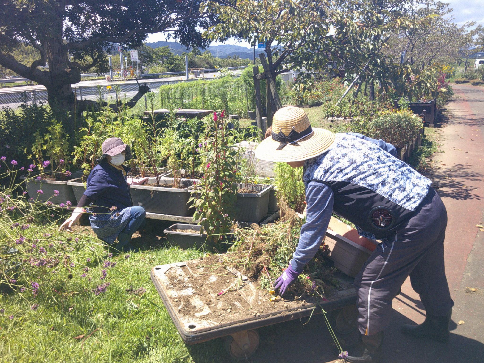 NPO法人コノハナロード延岡市民応援隊