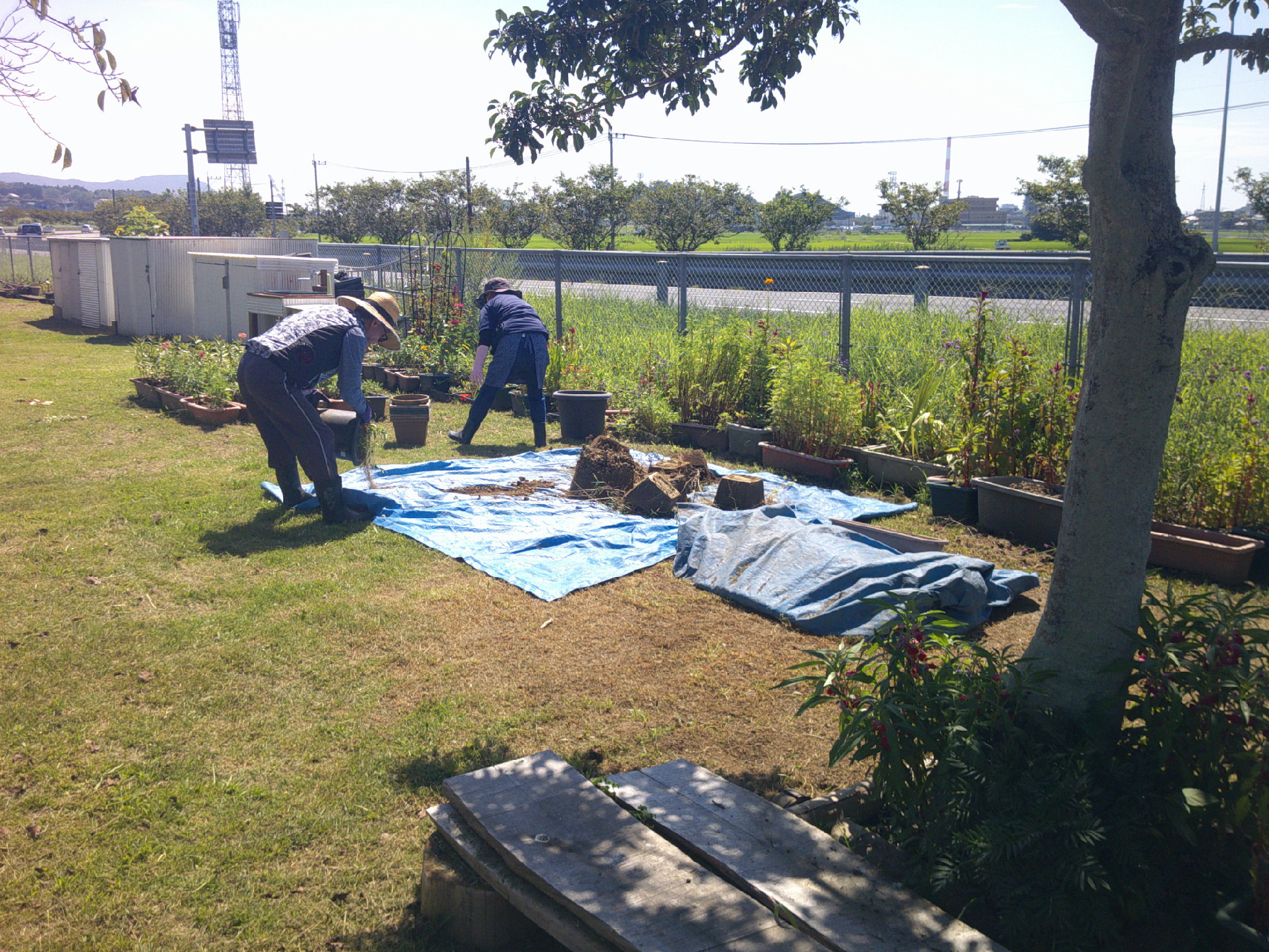 NPO法人コノハナロード延岡市民応援隊