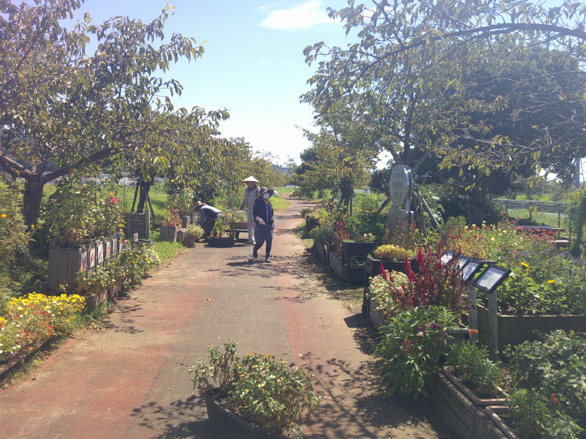 NPO法人コノハナロード延岡市民応援隊 コノハナロード花壇