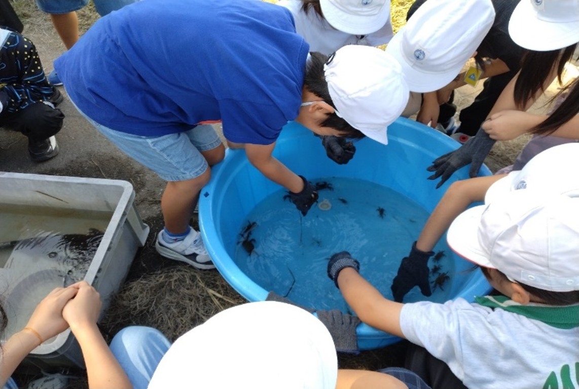 乙津川水辺の楽校運営協議会 自然観察学習　水生生物観察