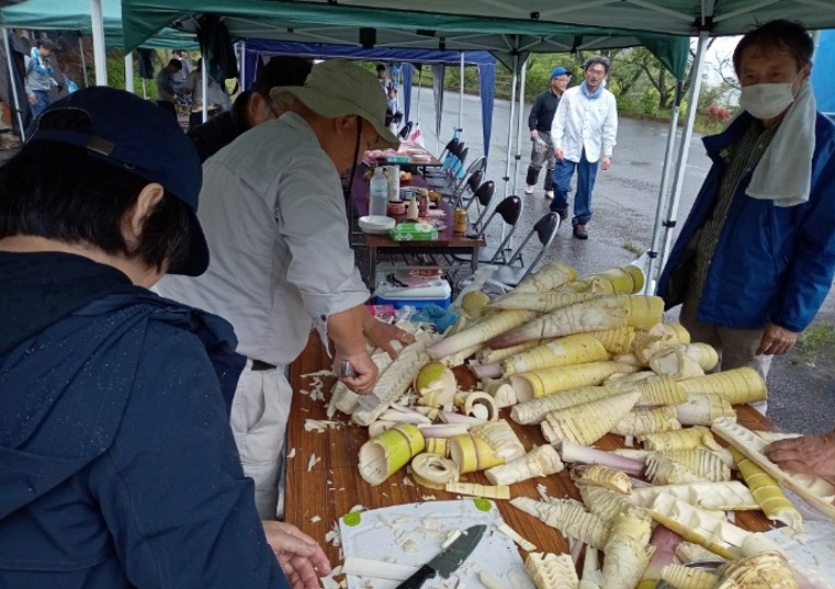 NPO法人下筌ダム湖と森の会 竹林整備（竹の子掘り）
