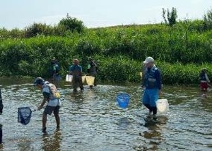 菊池川流域連携会議 魚をとって菊池川を観察する体験塾