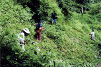 NPO法人下筌ダム湖と森の会 下筌ダム湖周辺美化委託事業