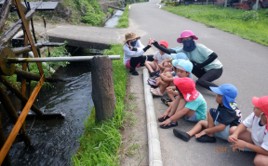 自然と暮らしを考える研究会 さくらんぼこども園=水辺の生き物と水車見学会