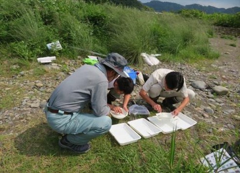 NPO法人大淀川流域ネットワーク 宮崎県自然豊かな水辺の工法研究会