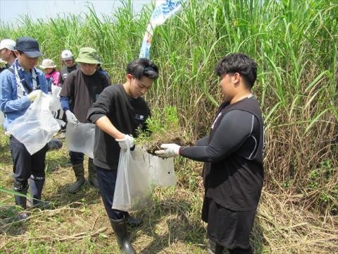 NPO法人大淀川流域ネットワーク 掘削予定砂州に生息する絶滅危惧植物の保全
