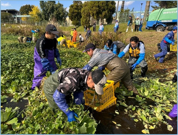 緑川の清流をとりもどす流域連絡会 江津湖外来水草合同除去作業