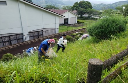 NPO法人都城大淀川サミット 特定外来生物オオキンケイギク駆除活動（山之口）