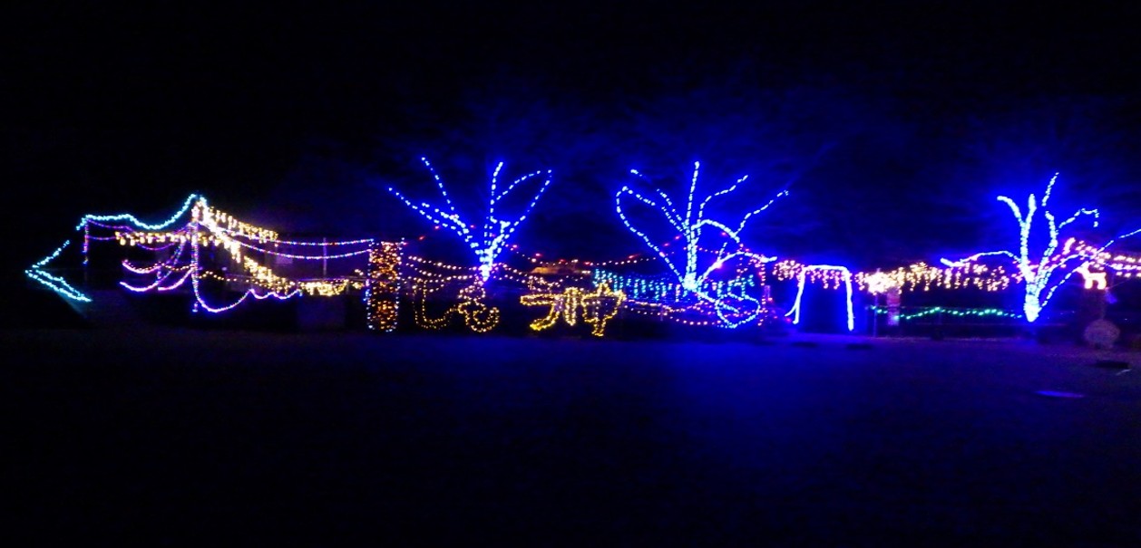 NPO法人下筌ダム湖と森の会 しもうけ館周辺イルミネーション設置