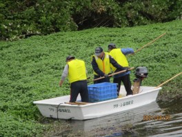 グリーンはな走会