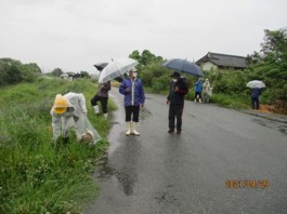 グリーンはな走会