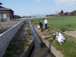 グリーンはな走会